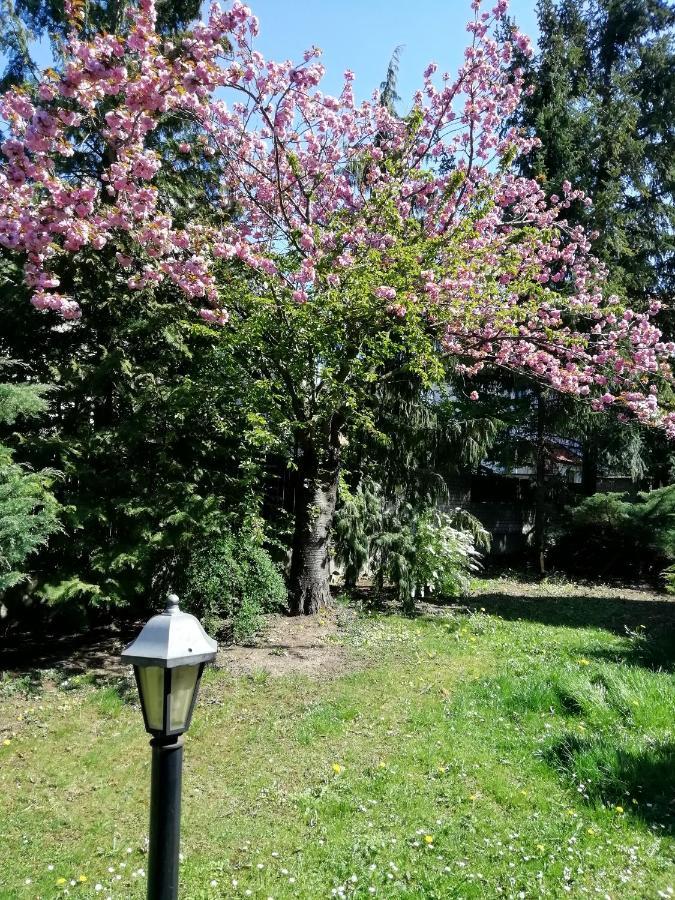 Villa Andy Praag Buitenkant foto